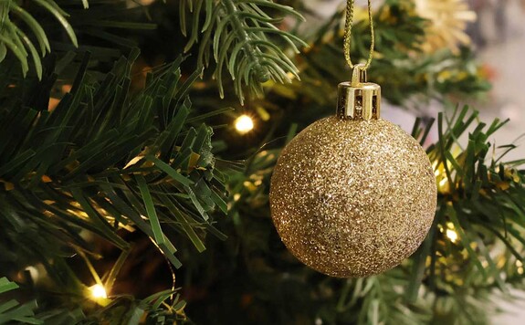 Christmas Discount and Opening Hours